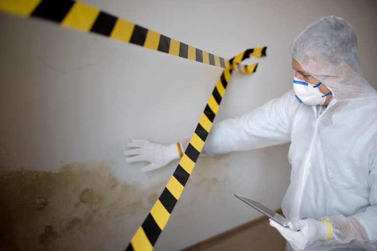 mold remediation in Naples FL